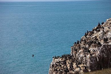 《灵魂骇客2》游戏情报⑤ 恶魔合体与成长