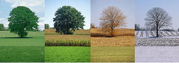 反重力竞速游戏《红视2》5月26日发售  登陆全平台