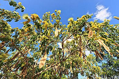 双厨狂喜 《传说之下》配乐将登陆《音律炫动》街机